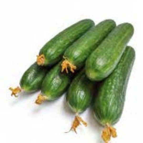 Семена огурца Мева F1 /500 семян/ *Rijk Zwaan*