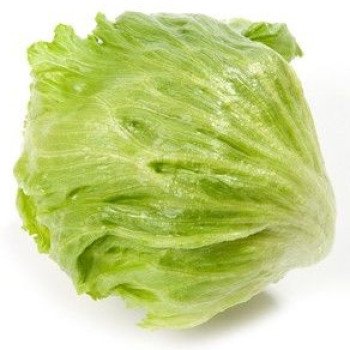 Салат Аргентинас /1.000 семян драже/ *Rijk Zwaan*