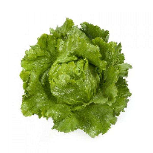 Насіння салату Сантарінас /1.000 насінин драже/ *Rijk Zwaan*