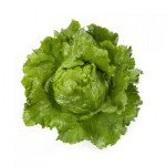 Салат Сантаринас /5.000 семян драже/ *Rijk Zwaan*