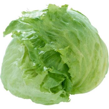 Салат Фортунас /5 г/ *Rijk Zwaan*