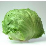 Салат Фиоретт /5.000 семян драже/ *Rijk Zwaan*