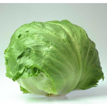 Салат Фіоретт /5.000 насінин драже/ *Rijk Zwaan*