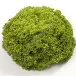 Салат Алеппо /1.000 насінин драже/ *Rijk Zwaan*