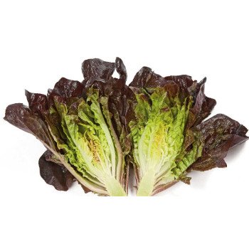 Салат Галатея /1.000 семян драже/ *Rijk Zwaan*