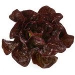 Салат Галатея /5.000 семян драже/ *Rijk Zwaan*