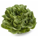 Салат Квінтус /1.000 насінин драже/ *Rijk Zwaan*