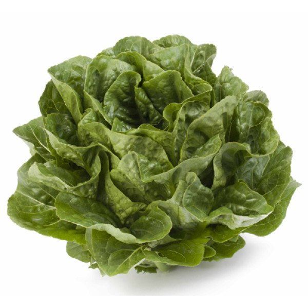 Семена салата Квинтус /1.000 семян драже/ *Rijk Zwaan*