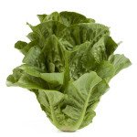 Салат Квінтус /5.000 насінин драже/ *Rijk Zwaan*