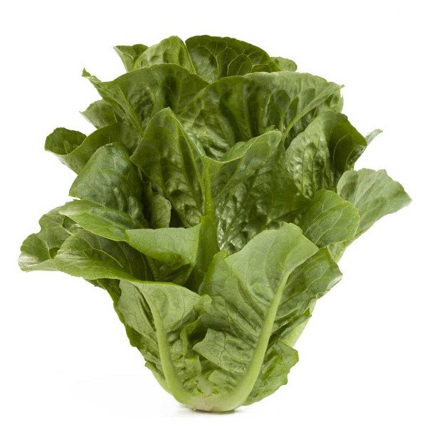 Семена салата Квинтус /5.000 семян драже/ *Rijk Zwaan*