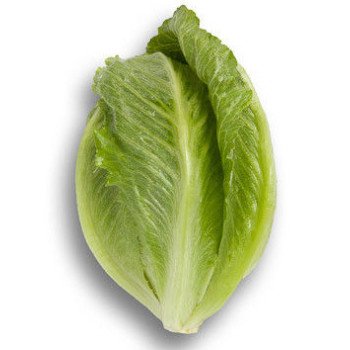 Салат Крунчита /5.000 семян драже/ *Rijk Zwaan*