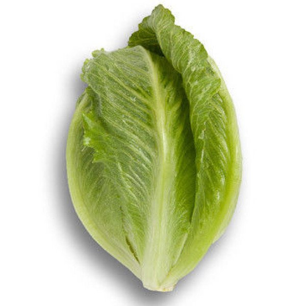 Насіння салату Крунчіта /5.000 насінин драже/ *Rijk Zwaan*