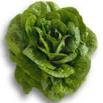 Салат Клаудиус /5.000 семян драже/ *Rijk Zwaan*