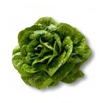 Салат Октавіус /1.000 насінин драже/ *Rijk Zwaan*