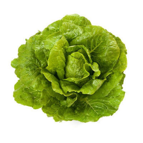 Насіння салату Октавіус /5.000 насінин драже/ *Rijk Zwaan*