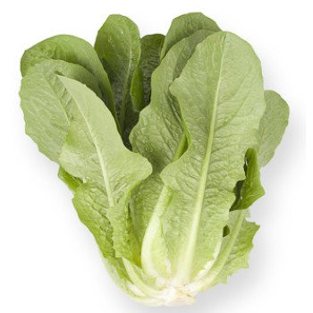 Салат Авона /1.000 семян драже/ *Rijk Zwaan*