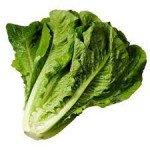 Салат Авона /5.000 насінин драже/ *Rijk Zwaan*