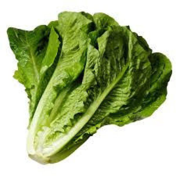 Семена салата Авона /5.000 семян драже/ *Rijk Zwaan*