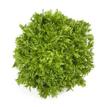 Салат Корби /1.000 семян драже/ *Rijk Zwaan*