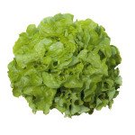 Салат Кітаре /1.000 насінин драже/ *Rijk Zwaan*