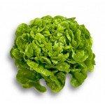 Салат Кітонія /5.000 насінин драже/ *Rijk Zwaan*