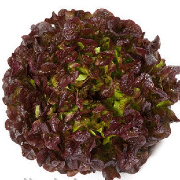 Насіння салату Мурай /1.000 насінин драже/ *Rijk Zwaan*