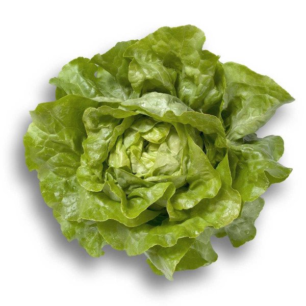 Семена салата Джиска /1.000 семян драже/ *Rijk Zwaan*