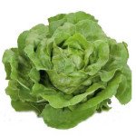 Салат Хунгаріна /1.000 насінин драже/ *Rijk Zwaan*