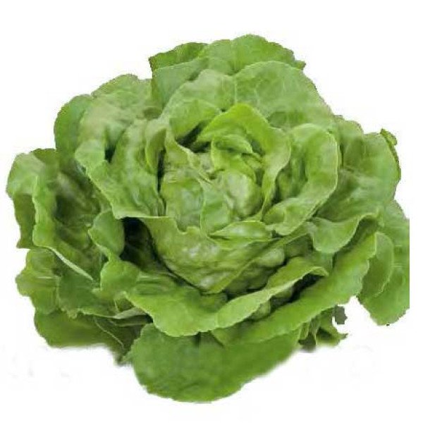 Насіння салату Хунгаріна /1.000 насінин драже/ *Rijk Zwaan*