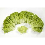 Салат Екзакт /5.000 насінин драже/ *Rijk Zwaan*