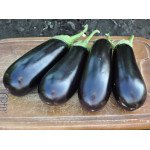 Баклажан Бриджит F1 /100 семян/ *Rijk Zwaan*