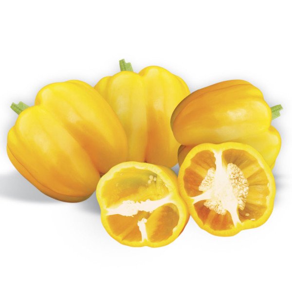 Насіння перцю солодкого Бачата F1 /1.000 насінин/ *Rijk Zwaan*