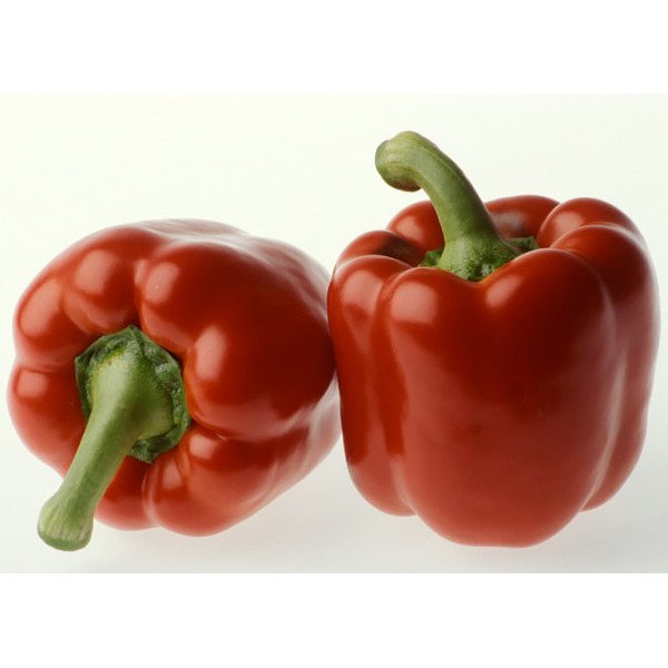 Насіння перцю солодкого Мазурка F1 /500 насінин/ *Rijk Zwaan*