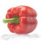 Насіння перцю солодкого Ред Джет F1 /100 насінин/ *Rijk Zwaan*