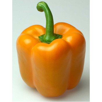 Перец сладкий Симпати F1 /1.000 семян/ *Rijk Zwaan*