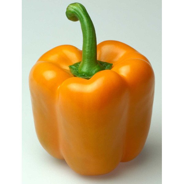 Насіння перцю солодкого Симпаті F1 /1.000 насінин/ *Rijk Zwaan*