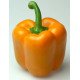 Насіння перцю солодкого Симпаті F1 /1.000 насінин/ *Rijk Zwaan*