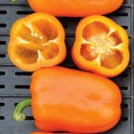 Перец сладкий Триора F1 /1.000 семян/ *Rijk Zwaan*