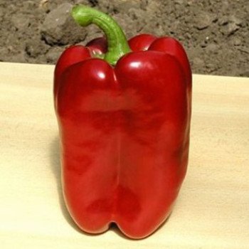 Перец сладкий Триросо F1 /1.000 семян/ *Rijk Zwaan*