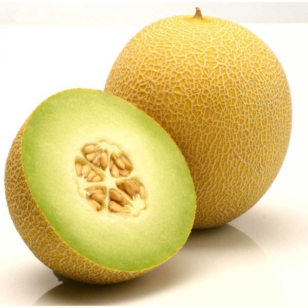 Семена дыни Джукар F1 /500 семян/ *Rijk Zwaan*