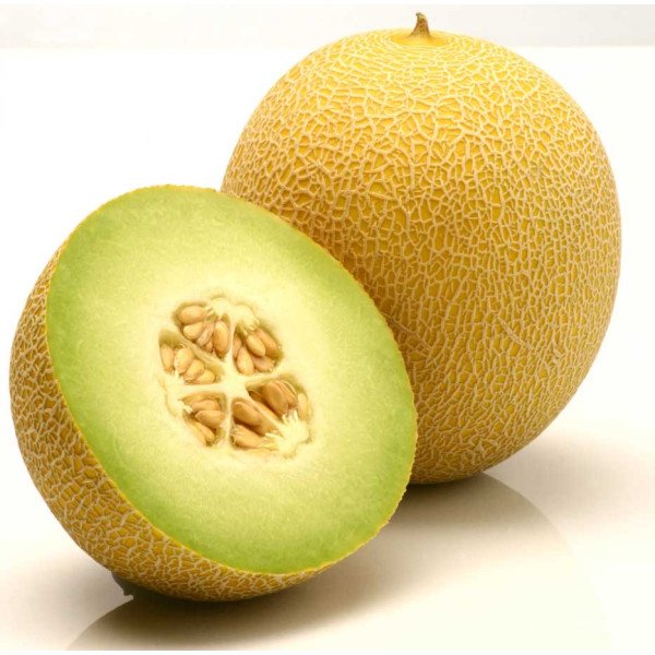 Насіння дині Джукар F1 /1.000 насінин/ *Rijk Zwaan*
