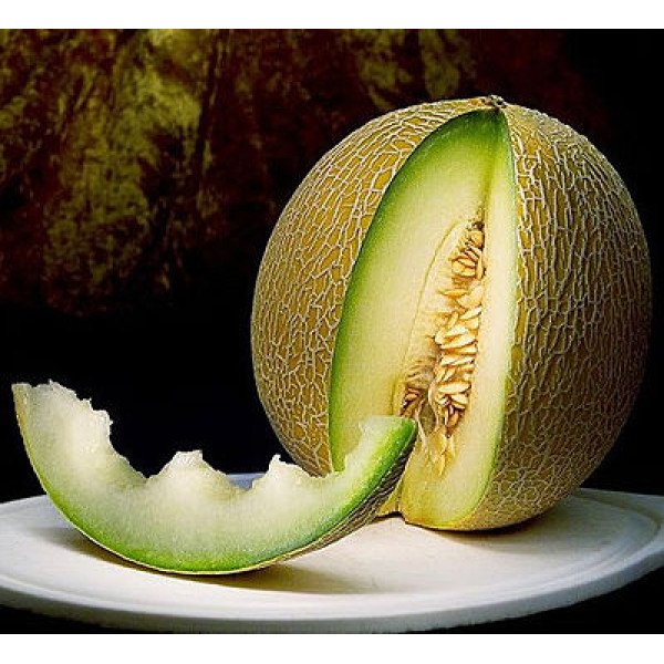 Насіння дині Карібіан Кінг F1 /1.000 насінин/ *Rijk Zwaan*
