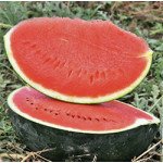 Кавун Баронеса F1 /1.000 насінин/ *Rijk Zwaan*