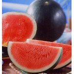 Кавун Титанія F1 /1.000 насінин/ *Rijk Zwaan*