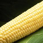 Кукурудза цукрова Бостон F1 /50.000 насінин/ *Syngenta*