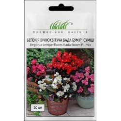 Бегония Бада Бум F1 смесь /20 семян/ *Профессиональные семена*