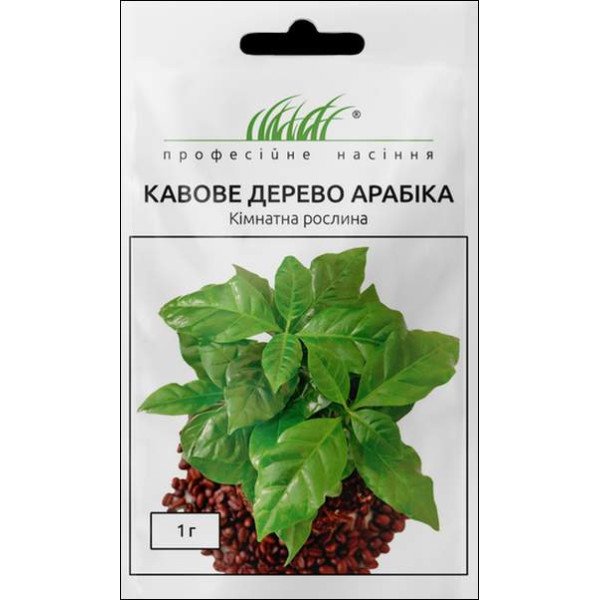 Семена кофейного дерева Арабика /1 г/ *Профессиональные семена*