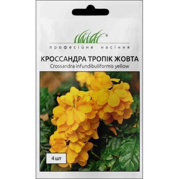 Семена кроссандры Тропик желтая /4 семечка/ *Профессиональные семена*