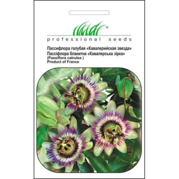 Насіння пассіфлори Кавалерійська зірка /0,1 г/ *Професійне насіння*