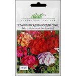 Пеларгонія Бордюр суміш /10 насінин/ *Професійне насіння*